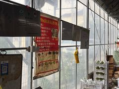 -马陆小张葡萄园农家乐