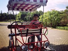 -上海海湾国家森林公园