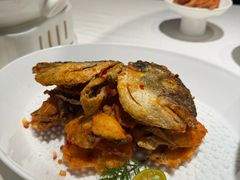-怡情荟•海鲜青岛菜(五四广场旗舰店)