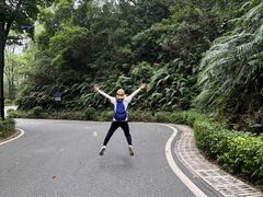 -广州市帽峰山景区