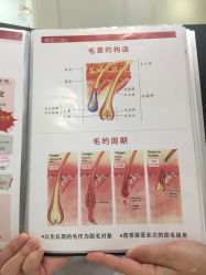 -银座Calla