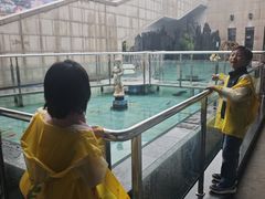 -陕西自然博物馆