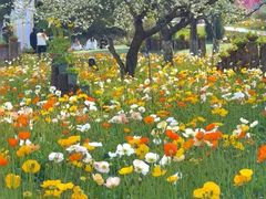 -名花谷生态庄园