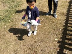 -前小桔亲子创意农场·草莓采摘·露营烧烤
