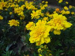 -南戴河国际娱乐中心