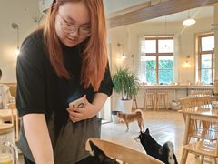 -柴の食堂·日式家庭料理·熊之肆(大学路店)
