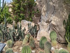 -北京植物园-展览温室