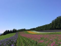 iphone_upload_pic-富田农场