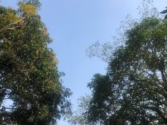 -滴水岩森林公园