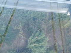 -南通鲜花小镇