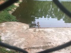 -三水森林公园