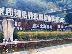 -腾冲北海湿地