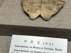 -北京中医药大学-中医药博物馆