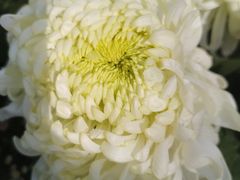 -杭州植物园
