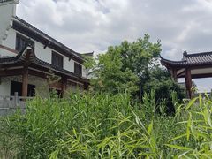 -杏花村文化旅游区