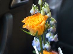 -伯衡55·吉品轩(乌鲁木齐南路店)