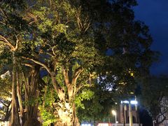 -德宏芒市国际机场