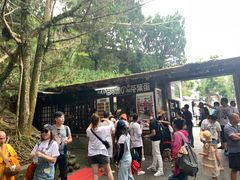 -金盆阿嬷香菇茶叶蛋(玄光店)