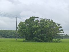-嘉北郊野公园