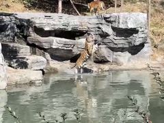 -宁波野生动物园