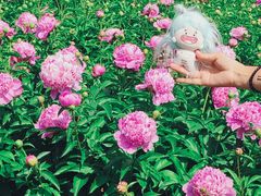 -洛阳市隋唐城遗址植物园