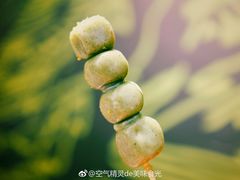 -無邪日式甜品(世博源店)