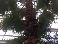 -石家庄市植物园
