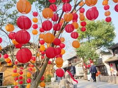 -西溪国家湿地公园