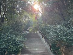 -寻龙山风景旅游区