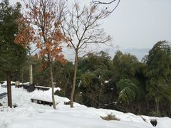 -天目湖涵田半山温泉