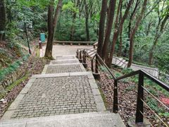 -苏州上方山国家森林公园