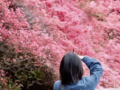 -木兰云雾山