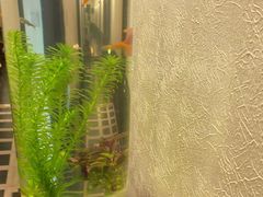 -涟LIAN·泰式按摩·MASSAGE·SPA(深业上城店)