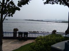 -合肥滨湖国家森林公园