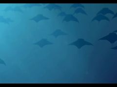 -横店电影城(李沧店)