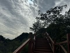-大岭沟猕猴桃谷风景区
