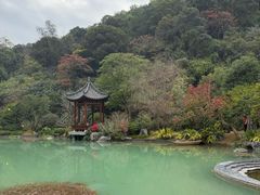 -云溪植物园