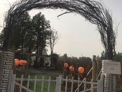 -安德鲁户外烧烤帐篷营地(马泉营店)