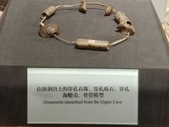-北京周口店北京人遗址博物馆