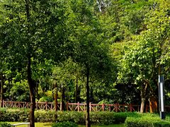 景点-阳台山森林公园