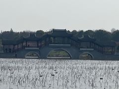 -上海海湾国家森林公园