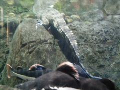 -成都浩海立方海洋公园