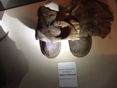 -八廓街-根敦群培纪念馆