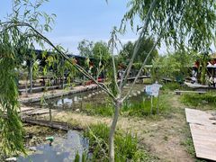 -同銮特种养殖场·龙虾垂钓