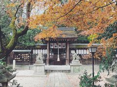 -京都御所
