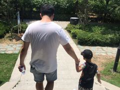 -白马涧龙池景区