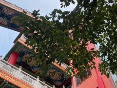 -东莞市大岭山森林公园