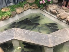 -春盛渔府(牛首山店)