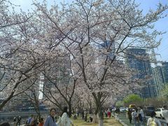 -西北湖绿化广场