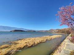 -大理洱海